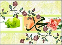 Peygamber Efendimizin Sünnetleri